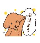 IZUMI看板犬ぴのくん（個別スタンプ：2）