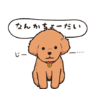 IZUMI看板犬ぴのくん（個別スタンプ：6）