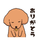 IZUMI看板犬ぴのくん（個別スタンプ：11）