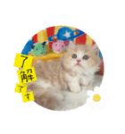 ねこまーち プレシャスクリームプリンス（個別スタンプ：3）