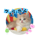 ねこまーち プレシャスクリームプリンス（個別スタンプ：4）