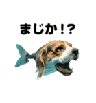 かわいい犬面魚（個別スタンプ：9）