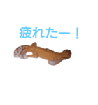 あかつきさん（個別スタンプ：2）