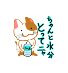 ねこまる（夏編）（個別スタンプ：5）