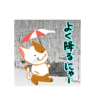 ねこまる（夏編）（個別スタンプ：8）