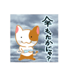 ねこまる（夏編）（個別スタンプ：10）