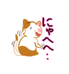 ねこまる（夏編）（個別スタンプ：20）