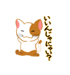 ねこまる（夏編）（個別スタンプ：24）