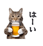 酒ビール！リアルな猫ミーム（日常）（個別スタンプ：3）