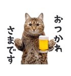 酒ビール！リアルな猫ミーム（日常）（個別スタンプ：4）