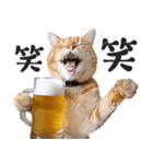 酒ビール！リアルな猫ミーム（日常）（個別スタンプ：5）