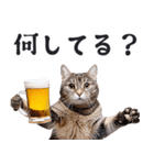 酒ビール！リアルな猫ミーム（日常）（個別スタンプ：9）