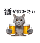 酒ビール！リアルな猫ミーム（日常）（個別スタンプ：11）