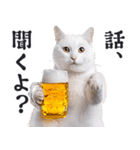 酒ビール！リアルな猫ミーム（日常）（個別スタンプ：14）