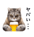 酒ビール！リアルな猫ミーム（日常）（個別スタンプ：21）