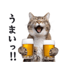 酒ビール！リアルな猫ミーム（日常）（個別スタンプ：26）