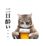 酒ビール！リアルな猫ミーム（日常）（個別スタンプ：28）