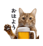 酒ビール！リアルな猫ミーム（日常）（個別スタンプ：29）