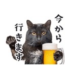 酒ビール！リアルな猫ミーム（日常）（個別スタンプ：32）