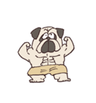 ゴリパグ（個別スタンプ：1）