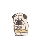 ゴリパグ（個別スタンプ：37）