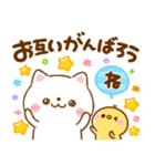 毎日使える♡ねこねこにゃんこ（個別スタンプ：5）