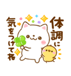 毎日使える♡ねこねこにゃんこ（個別スタンプ：8）