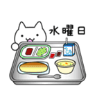 ねこ小中学生のLINEスタンプ（個別スタンプ：22）