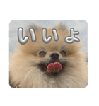 虚無顔ちもちゃんのスタンプ（個別スタンプ：4）