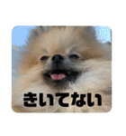 虚無顔ちもちゃんのスタンプ（個別スタンプ：6）