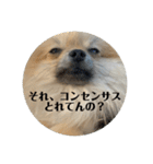 虚無顔ちもちゃんのスタンプ（個別スタンプ：8）