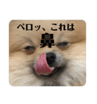 虚無顔ちもちゃんのスタンプ（個別スタンプ：10）