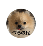 虚無顔ちもちゃんのスタンプ（個別スタンプ：11）