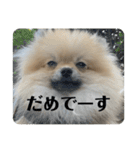 虚無顔ちもちゃんのスタンプ（個別スタンプ：12）