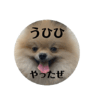 虚無顔ちもちゃんのスタンプ（個別スタンプ：18）