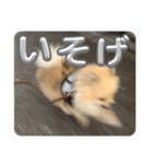 虚無顔ちもちゃんのスタンプ（個別スタンプ：19）