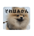 虚無顔ちもちゃんのスタンプ（個別スタンプ：22）
