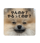 虚無顔ちもちゃんのスタンプ（個別スタンプ：25）