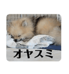 虚無顔ちもちゃんのスタンプ（個別スタンプ：27）