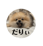 虚無顔ちもちゃんのスタンプ（個別スタンプ：30）