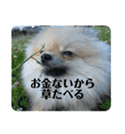 虚無顔ちもちゃんのスタンプ（個別スタンプ：34）