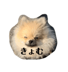 虚無顔ちもちゃんのスタンプ（個別スタンプ：37）