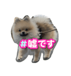 虚無顔ちもちゃんのスタンプ（個別スタンプ：40）