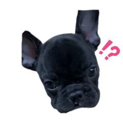 [LINEスタンプ] 日常で使えるフレブルすたんぷ