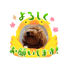 [LINEスタンプ] 動く！茶色のといぷーさん1