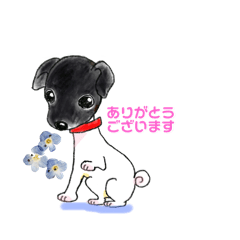 [LINEスタンプ] 日本テリアのメルちゃん