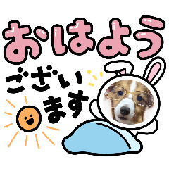 [LINEスタンプ] びすこってぃ⑲