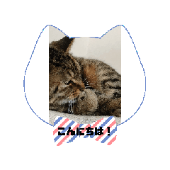 [LINEスタンプ] 4月のねこスタンプを作ってみました。