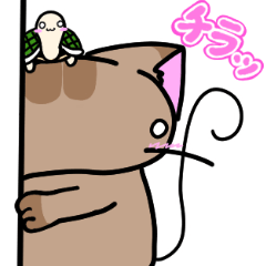 [LINEスタンプ] お茶ネコ 日常シャムネコver.