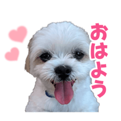 [LINEスタンプ] そらともやし